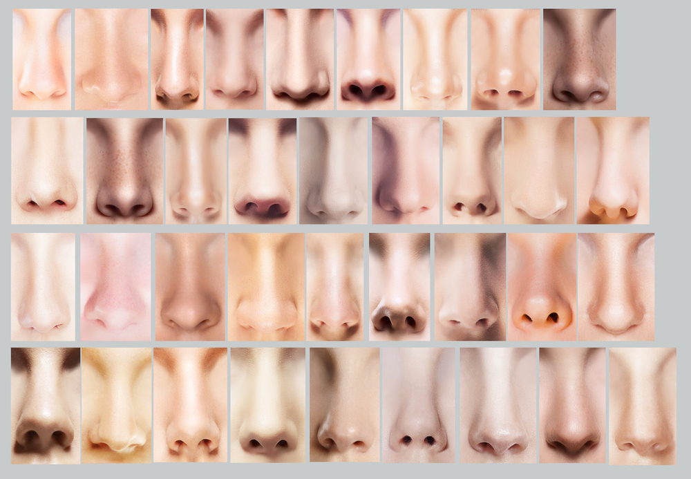 Most Common Nose Types